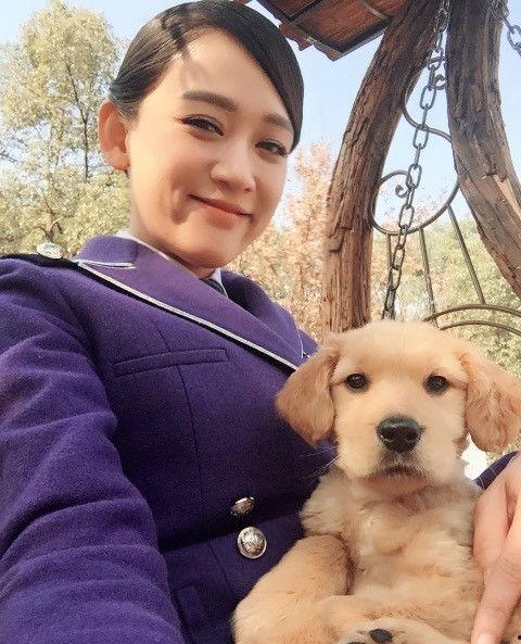 娱乐圈养狗的明星,养狗明星大盘点