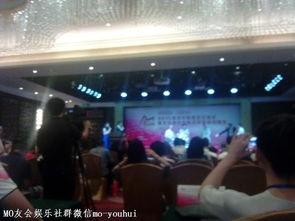 广州金鑫娱乐文化,打造多元化娱乐盛宴的璀璨明珠