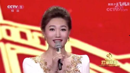 央视女主播 王林,传播正能量，引领时代风尚