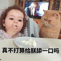 饿死宝宝了 萌表情包
