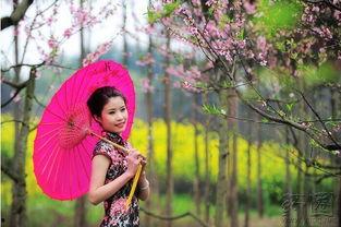 红桃花娱乐,揭秘娱乐圈的璀璨星河