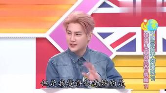 台湾谈大陆娱乐,大陆娱乐在台湾的崛起与影响